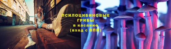 твердый Абинск