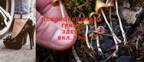 твердый Абинск
